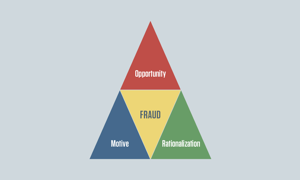 Figure 1: Reasons fraud occurs
